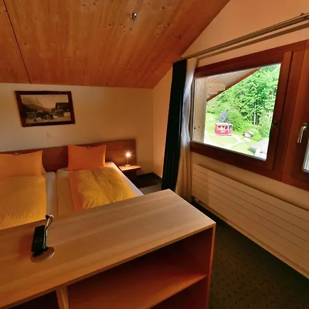 Wetterhorn Otel Grindelwald
